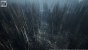 UE5.2 Burned Dead Forest Nanite (12)