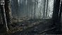 UE5.2 Burned Dead Forest Nanite (13)