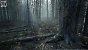 UE5.2 Burned Dead Forest Nanite (15)