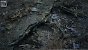 UE5.2 Burned Dead Forest Nanite (16)