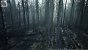 UE5.2 Burned Dead Forest Nanite (17)