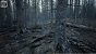 UE5.2 Burned Dead Forest Nanite (18)
