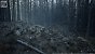 UE5.2 Burned Dead Forest Nanite (19)
