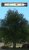 <a class="posRel pe-4" href="https://www.nexusmods.com/kingdomcomedeliverance/mods/72">Better-HUD <span class="icon extLinkIcon posAbs"></span></a>(kleinerer grauer Punkt und schmalerer Kompass)