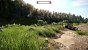 Hier zu sehen: Apex-ENB mit Reshade-Profil Perfection.