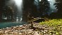 Ark: Survival Ascended - Gameplay-Szene, The Island, 4K Max, TSR 100 %:<br><br>Everything is a Polygon. Nun gut, nicht restlos alles. Doch die Polygon-Dichte in Ark: Survival Ascended ist gewaltig, nahezu irrsinnig. Da die UE5.2 noch kein Nanite für Terrain anbietet, sind Steine und Geröll eigene Modelle, die in Form von Clutter in beinahe absurder Dichte verteilt wurden.<br><br>Beinahe noch beeindruckender ist die Nanite-Vegetation: Jedes einzelne Blatt, jeder Grashalm, jede Blüte und jede einzelne, kleine, feine Nadel der Redwoods besteht aus Polygonen. Flache 2D-Alpha-Test-Texturen? No more. Die Nanite-Vegetations- und damit Polygon-Dichte ist zudem sehr hoch - nicht einmal gegenüber Epics hauseigener UE5.3-Tech-Demo Electric Dreams mag das UE5-Ark zurückstehen.<br><br>Link zur UE5.3-Demo: https://www.unrealengine.com/en-US/electric-dreams-environment