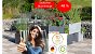 Blumentopf Scheurich C Cube Long Deal