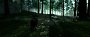 <strong>RavionHD: </strong>"Ghost of Tsushima (4K Ultrawide DLDSR, DLSS, ReShade)"<br>&nbsp; (1) (2)