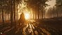 Ghost of Tsushima PC (Bilder: Ultra HD mit DLAA, maxed und downsampled @ 1800p) (2)