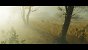 Ghost of Tsushima PC (Bilder: Ultra HD mit DLAA, maxed und downsampled @ 1800p) (19)