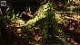 <strong>Unreal Engine 5.4:</strong> Techdemo zeigt "erstaunlichen" Birkenwald in Echtzeit (18)