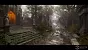 Cemetery - Forgotten Churchyard (3)