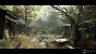 Cemetery - Forgotten Churchyard (17)