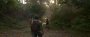 The Last of us 2 