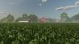 Spinat im Landwirtschafts-Simulator 25 (9)