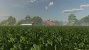Spinat im Landwirtschafts-Simulator 25 (13)