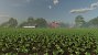 Spinat im Landwirtschafts-Simulator 25 (7)