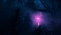 AzRa-eL: <strong>Alan Wake 2 DLC</strong><br><br>&nbsp; (2)