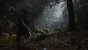 Khaos-Thanathan: "Black Myth: Wukong - Habe noch nie so wunderschöne Wälder in einem Videospiel gesehen. Die Darstellung der Natur zusammen mit der Architektur der Tempel pp. in dem Spiel ist einfach atemberaubend. Ich bin tatsächlich neidisch auf den Affenkönig. So einen Wald würde ich tatsächlich gern einmal in natura erleben können".<br>&nbsp; (4)