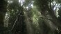 Final Fantasy XVI PC (Bilder: 4K/UHD mit DLAA, downsampled @ 1800p) (12)