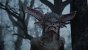 Final Fantasy 16 (47)