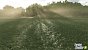 Erbsen und Bohnen sind zwei von mehreren neuen Fruchtsorten im Landwirtschafts-Simulator 25 und was es zu der zu wissen gibt, haben wir zusammengefasst.