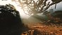mllecamill3: "Black Myth Wukong 4K DLSS Performance / Cinematic Setting and Full Raytracing Very High." (1)
