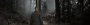 <strong>QIX: </strong>Silent Hill 2 Remake / 7.680 × 2.160 / DLSS-Q"<br>&nbsp; (4)