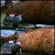 MAX PAYNE HD V2 (18)