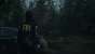 Alan Wake 2: Standard-PS5 (Leistung)