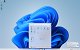 LinuxFX