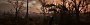 QIX: S.T.A.L.K.E.R. 2 Heart Of Chornobyl / 7680x2160 / EPIC Preset / DLSS-Q<br>&nbsp; (7)