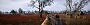 QIX: "S.T.A.L.K.E.R. 2 Heart Of Chornobyl / 7680x2160 / EPIC Preset / DLSS-Q (Part II)" (4)