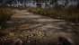 Das Terrain-Rendering von Stalker 2 nutzt die bis zur UE5.4 genutzte, reguläre Darstellung via Normal-Mapping, leider kein Nanite-Terrain. Dies kann man den Entwicklern angesichts der kurzen Verfügbarkeit kaum zur Last legen, doch es wäre nett gewesen. Die Materialien sind generell von hoher Qualität und knackig aufgelöst