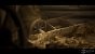 Medieval Village - Slavic Huts Environment (8)