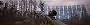 QIX: S.T.A.L.K.E.R. 2 Heart Of Chornobyl / 7680x2160 / EPIC Preset / DLSS-Q (Part VII)<br>&nbsp; (7)