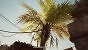 Raytracing Vergleich voll 2