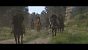 Kingdom Come Deliverance 2