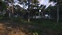 Kingdom Come Deliverance 2