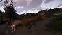 Kingdom Come Deliverance 2