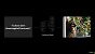 Nvidia DLSS 4 - CNN und Transformer-Modell