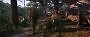 <strong>Acgira:</strong> Kingcom Come Deliverance 2 (3)