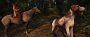 <strong>Acgira:</strong> Kingcom Come Deliverance 2 (5)