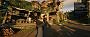 <strong>TausendWatt:</strong> "Avowed @3440x1440 All Epic DLSS Q + FG (DLSS4 via Swapper)" (2)