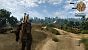 Jaffech: "<strong>The Witcher 3 - </strong>Maximale Details inkl RT, UHD, DLSS4 Q (Transformer via NVinspector). Außerdem viele Grafikmods und ini-Anpassungen. (3)
