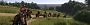 Froggenhart: "Kingdom Come Deliverance 2 in 32:9" (3)