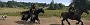 Froggenhart: "Kingdom Come Deliverance 2 in 32:9" (5)