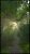 Khaos-Thanathan: <i><strong>Assassin's Creed Shadows</strong></i>...<br><br>...bei dem nach rund 25 Stunden doch deutlich die Open-World-Fatigue einsetzt.&nbsp; (6) (2)
