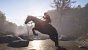 Assassin's Creed Shadows "maxed out" (Bilder: Ultra HD mit DLSS Quality via Fotomodus) 9