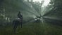 Assassin's Creed Shadows "maxed out" (Bilder: Ultra HD mit DLSS Quality via Fotomodus) 2